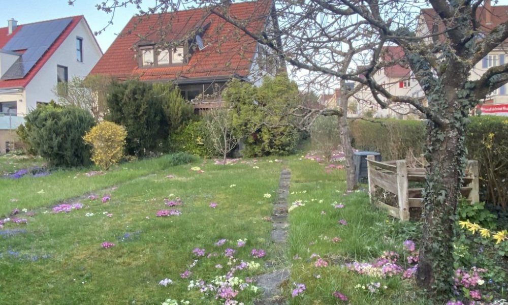 Tolle Lage
Sanierung vs. Neubau?