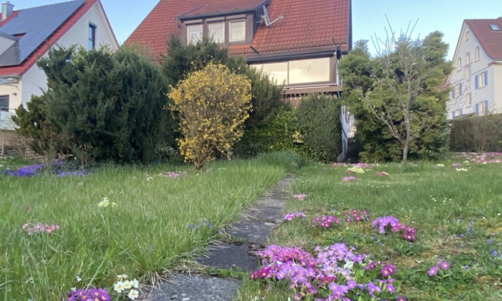 Tolle Lage
Sanierung vs. Neubau?